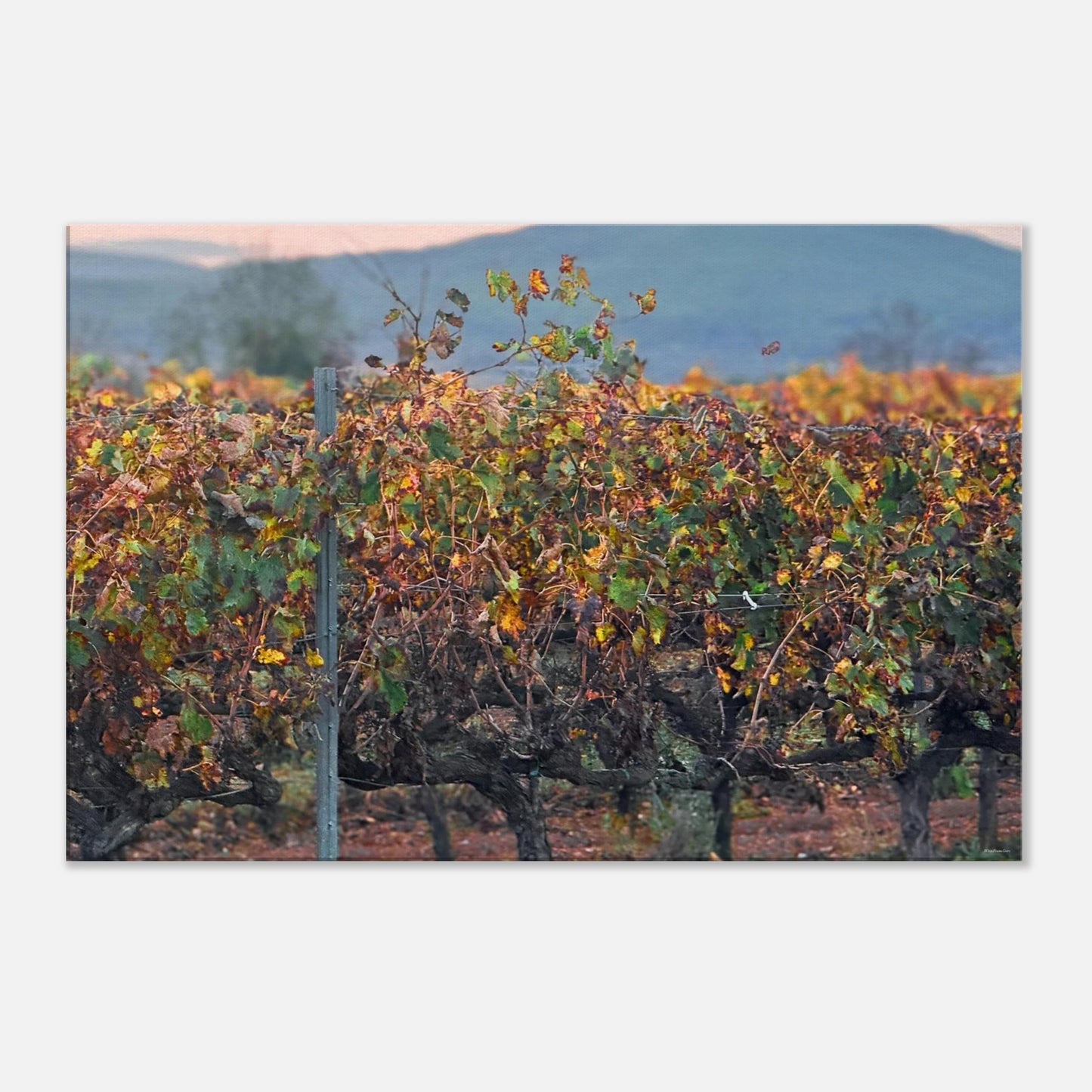 9e726b87-adbb-4d27-bd34-7859b5f01f50