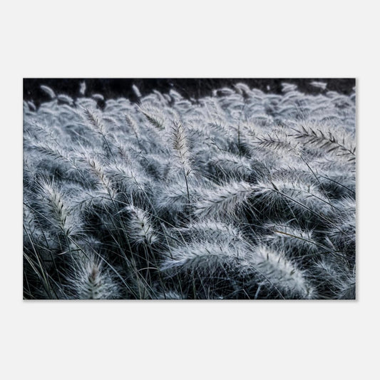 9e73e29d-8ffd-4fae-8c92-95de82410b03