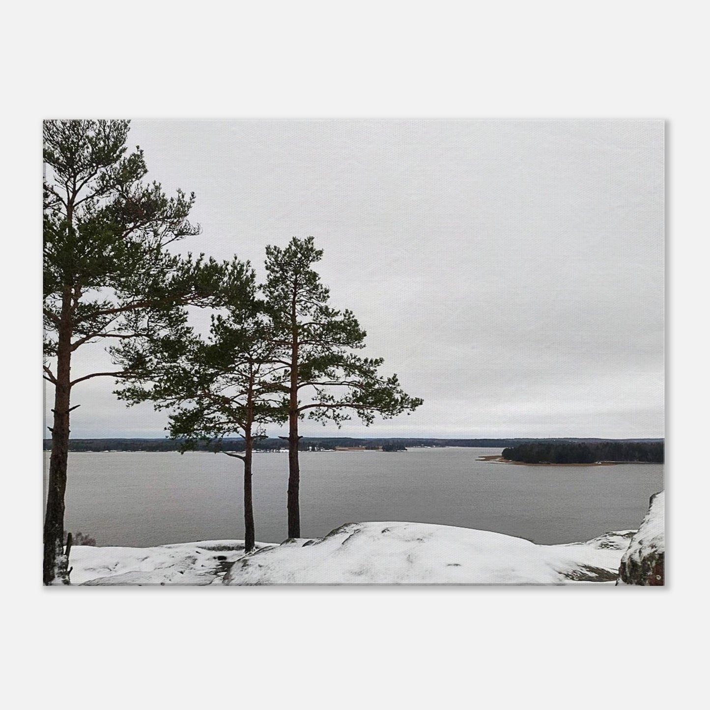 9e8fae0c-9222-483c-a350-09d8b015b7d2