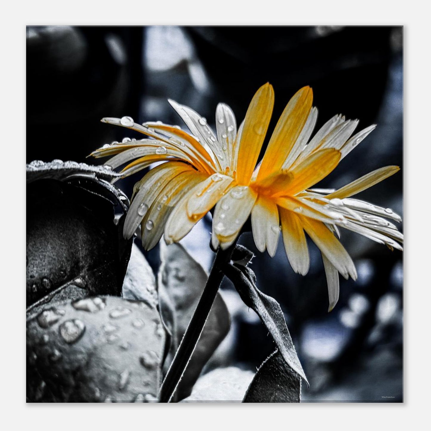 9ea22503-93c0-4324-8cff-bf157d895829