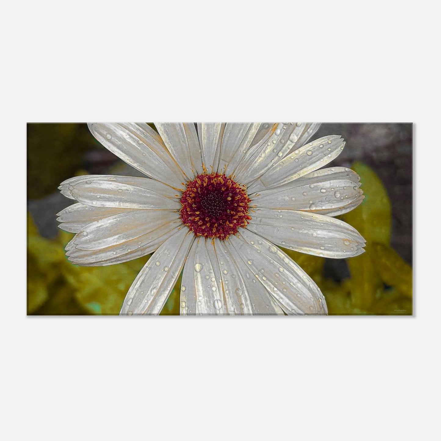 9eb396ca-b2ad-494d-823d-9b3bd2501d98