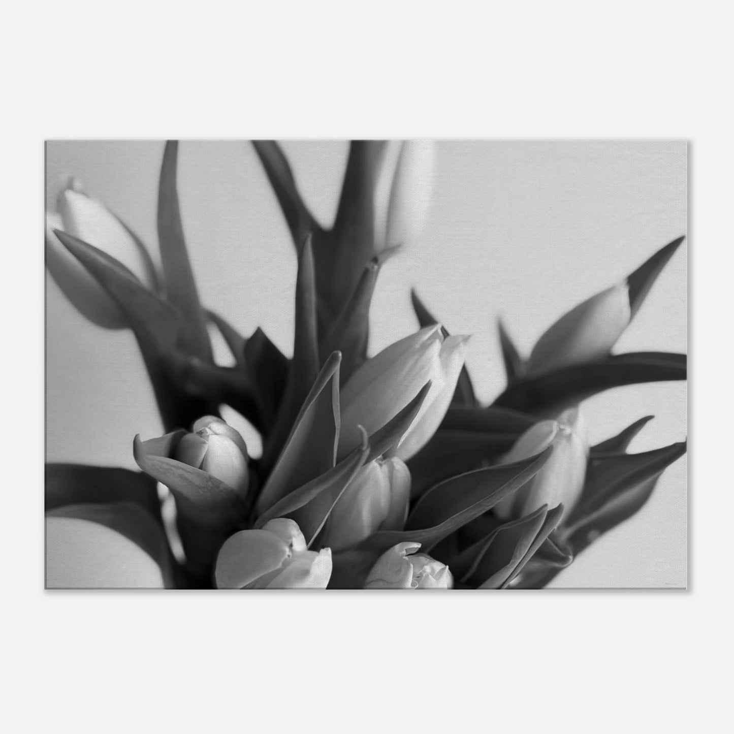 9ecd9716-a497-4332-9641-3f9ff7dddb64