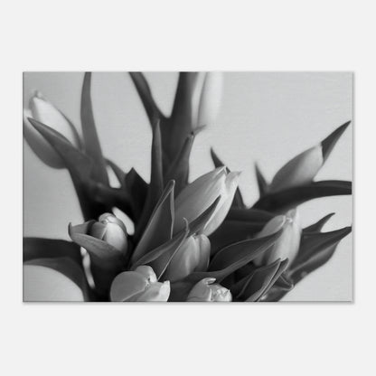 9ecd9716-a497-4332-9641-3f9ff7dddb64