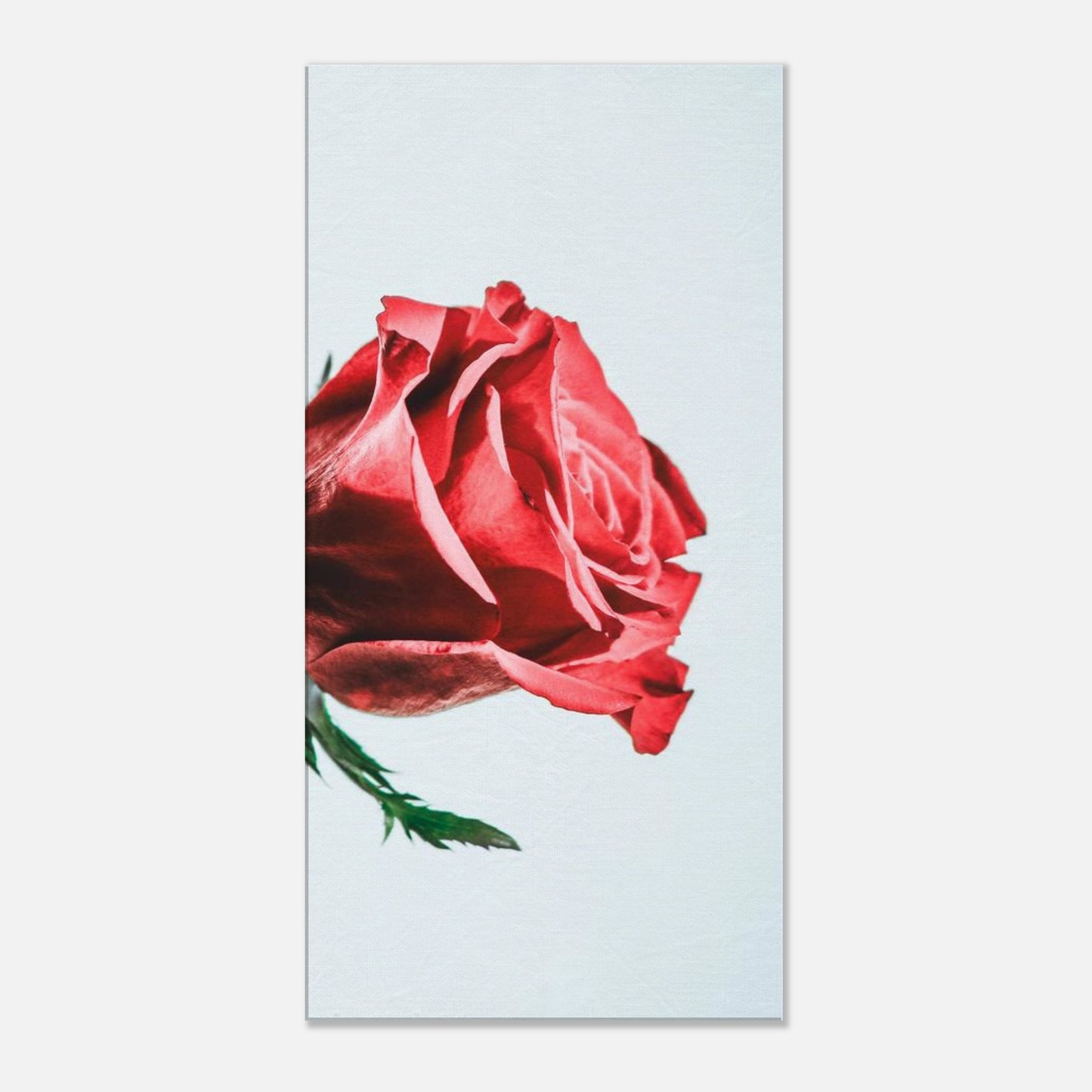 9ed7e1da-a852-4eeb-8011-b0c29242b8c8