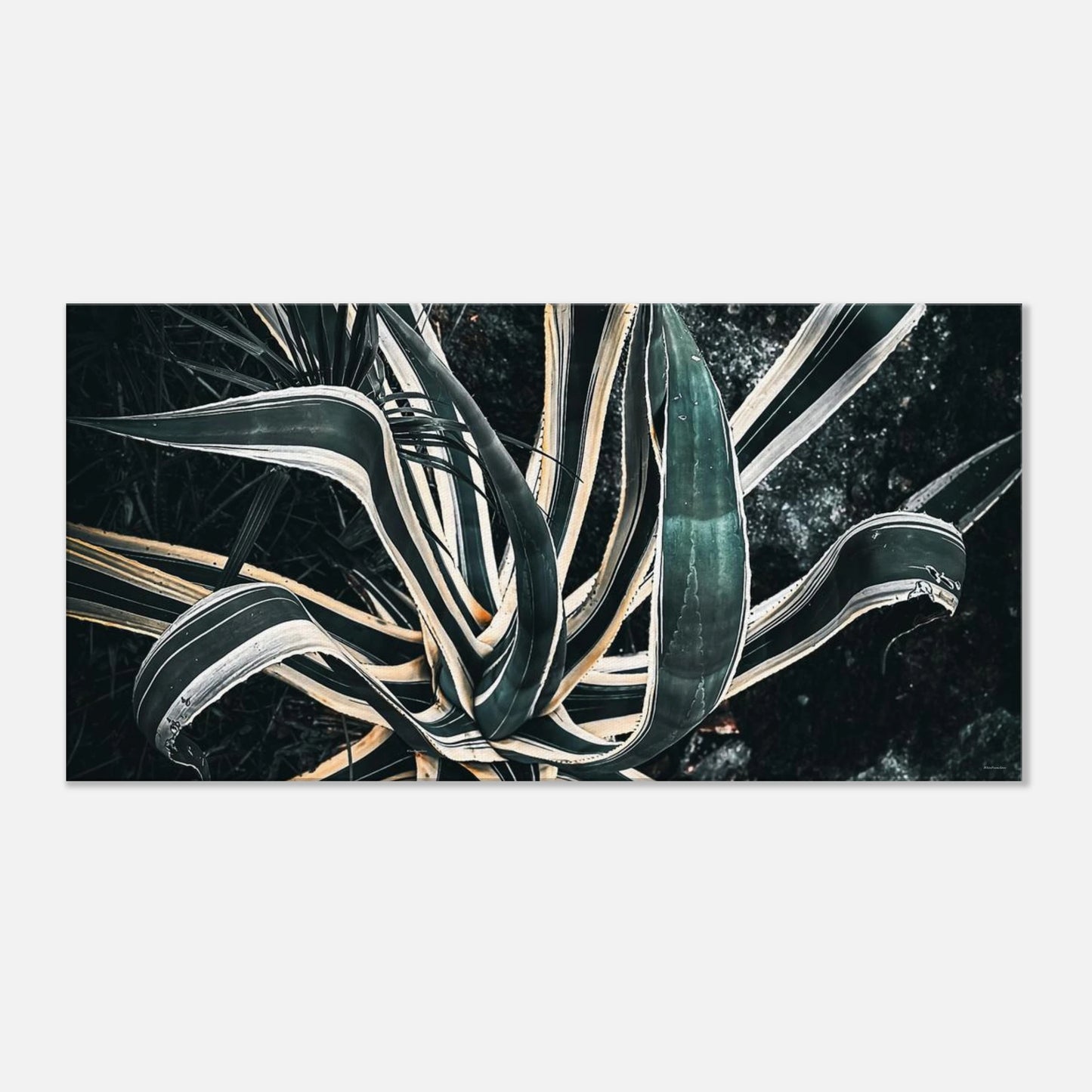 9f15550f-ce0e-45ac-97bd-2c0a153a257b