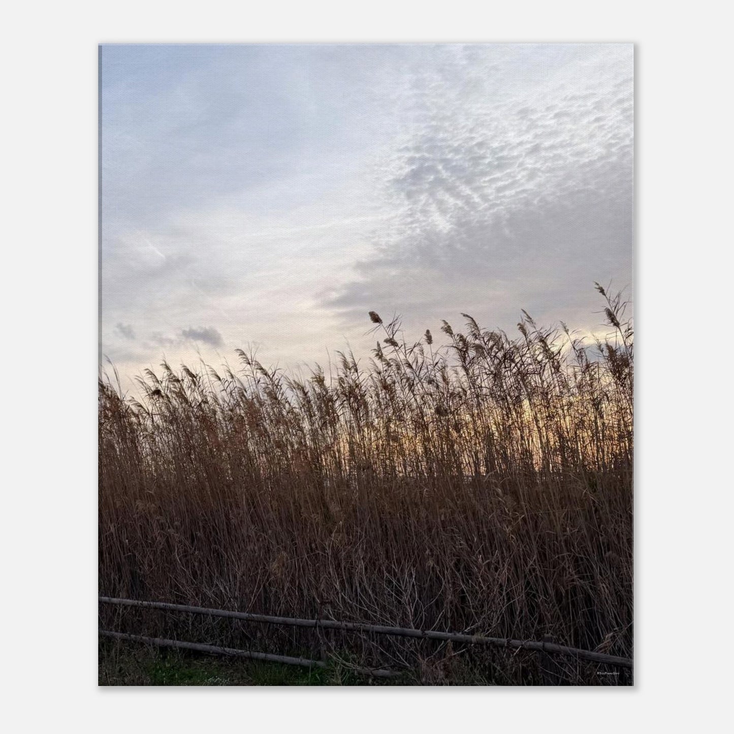 9f19531c-3d5e-4fa2-b573-e1a70a81d9d7