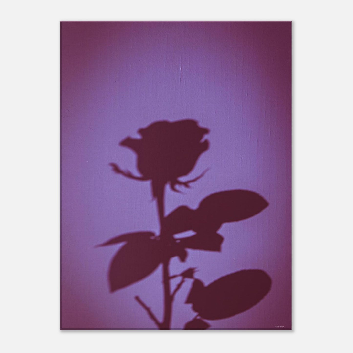 9f1c6bda-acde-4f87-b254-09c596903a8c