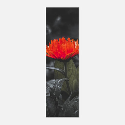 9f1c7aa2-5f07-4c22-8cda-7da71af0a1e0