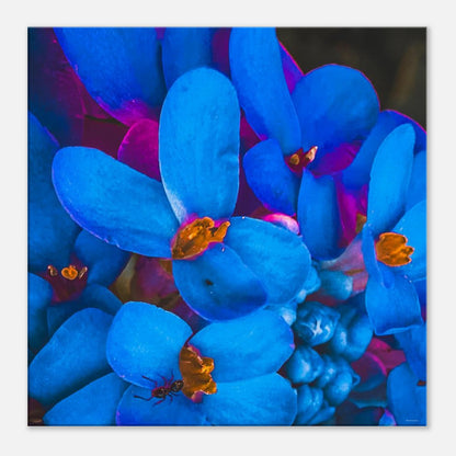 9f47c1ad-8658-4b57-a972-ab8ef6b57428