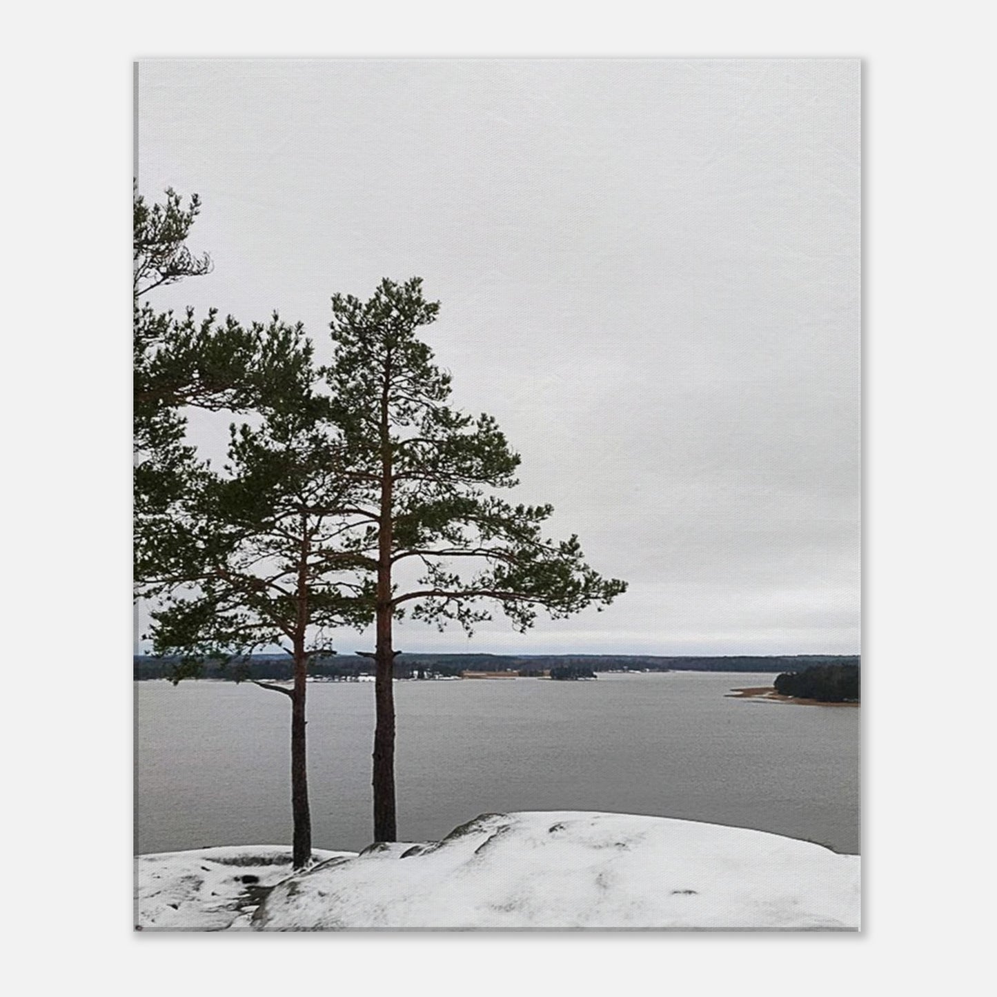 9f6ab173-7219-44f7-81ae-f1e02fff2c30