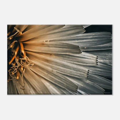 9f76af3c-293e-45d1-be75-8a089fdf5699