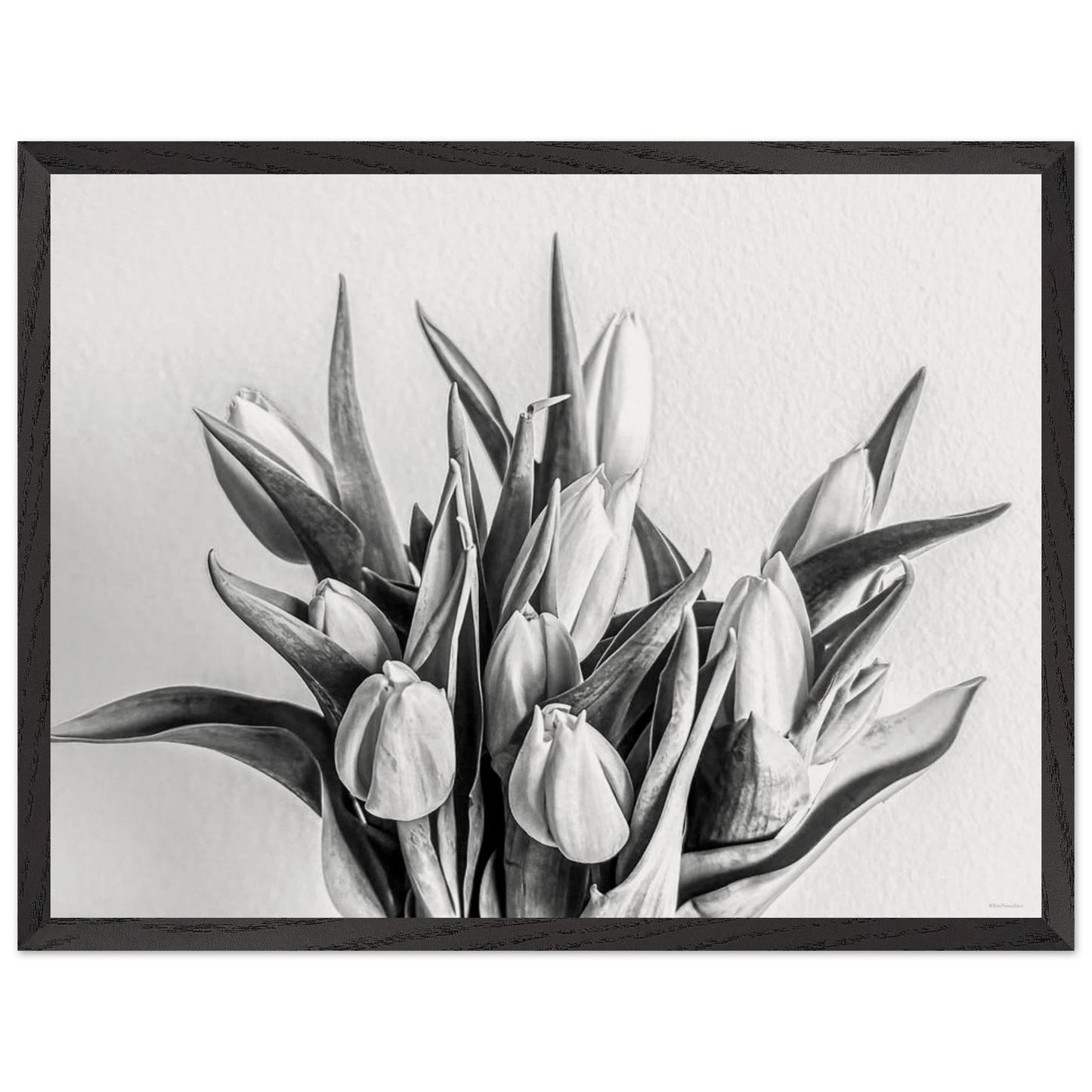 9f8249a2-2a0d-4451-bec0-69a8c98a1cc6