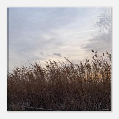 9fa3daa5-03c6-4bd4-b867-1e30031f0791