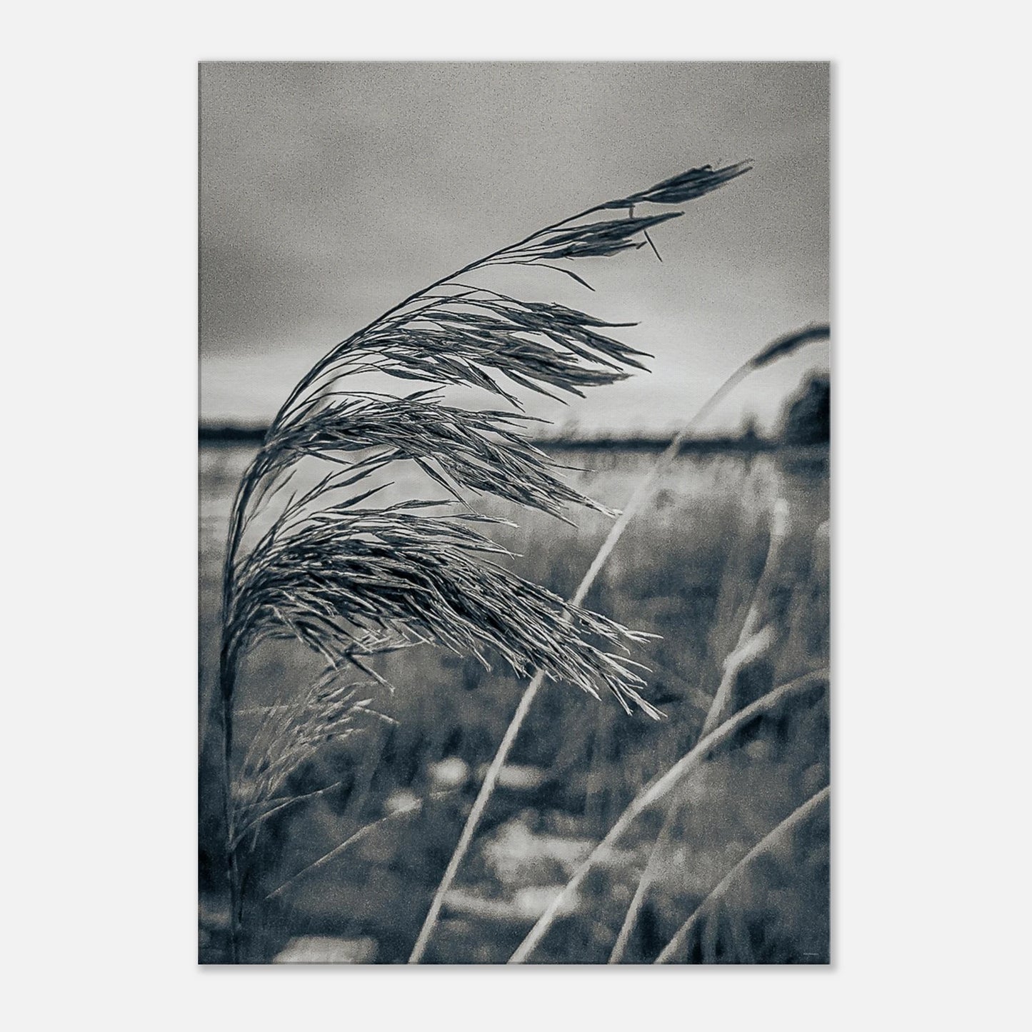 9fa798e8-7d17-4f1f-a34c-9d82d7bc9374