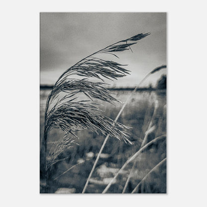 9fa798e8-7d17-4f1f-a34c-9d82d7bc9374