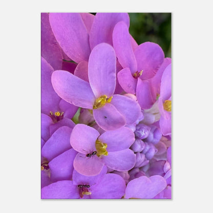 9fc8165a-a780-40f7-ae62-5d137a751f7f