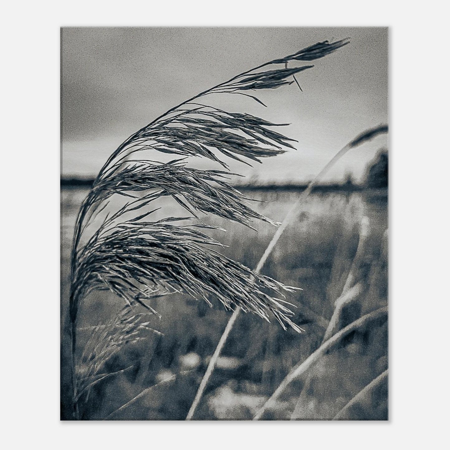 9fcd4975-6d5c-497e-a454-6292a2daf56c