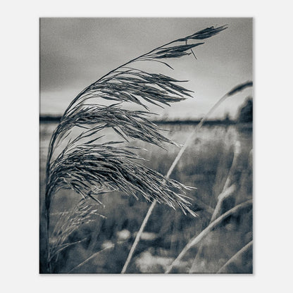 9fcd4975-6d5c-497e-a454-6292a2daf56c