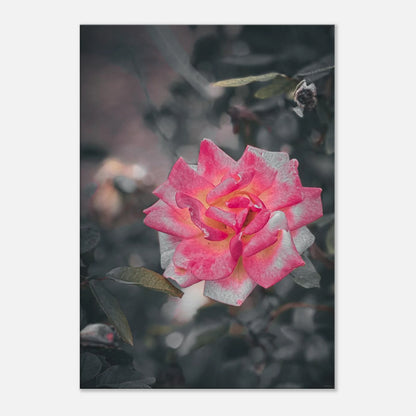 a070236b-5390-489b-a069-af15e16a96eb