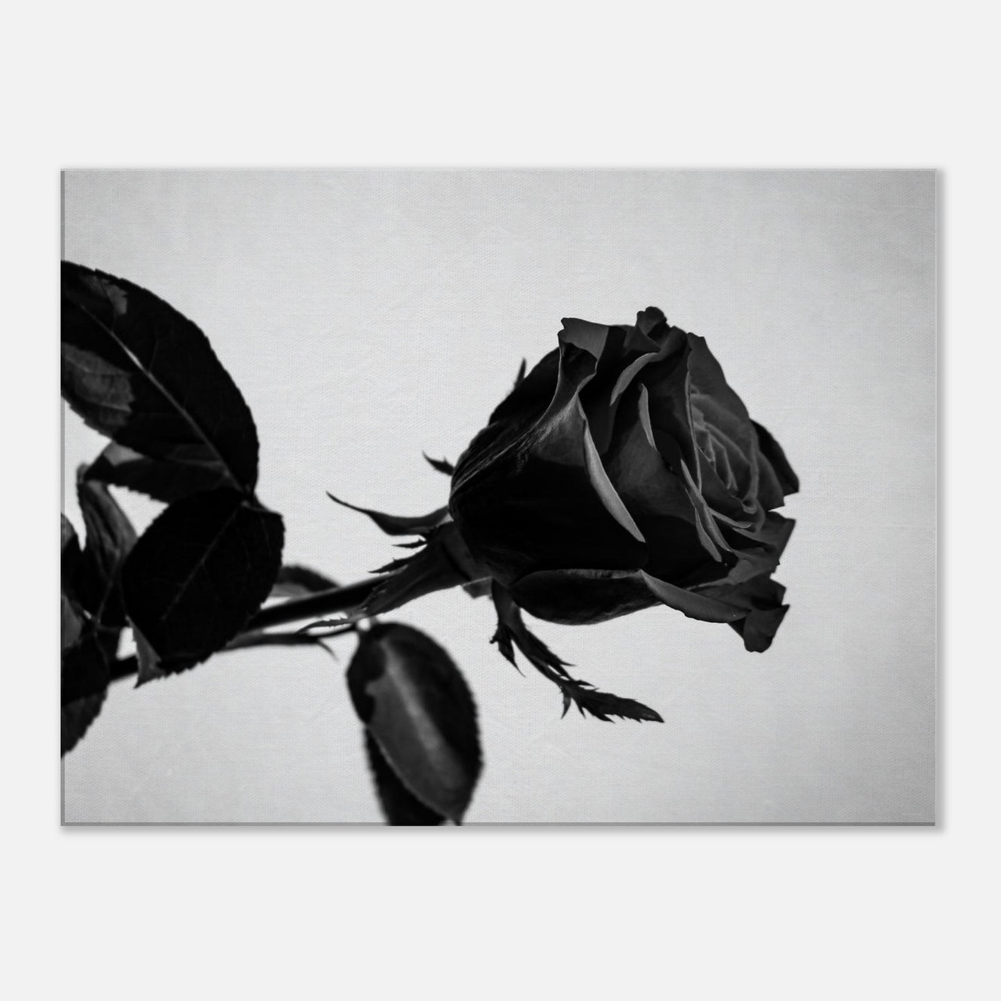 a0e48055-3d77-4286-b05c-ffbd38072bd1