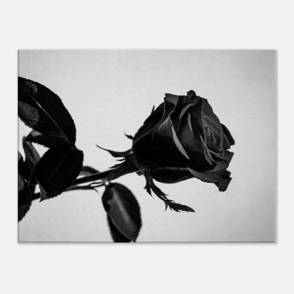 a0e48055-3d77-4286-b05c-ffbd38072bd1