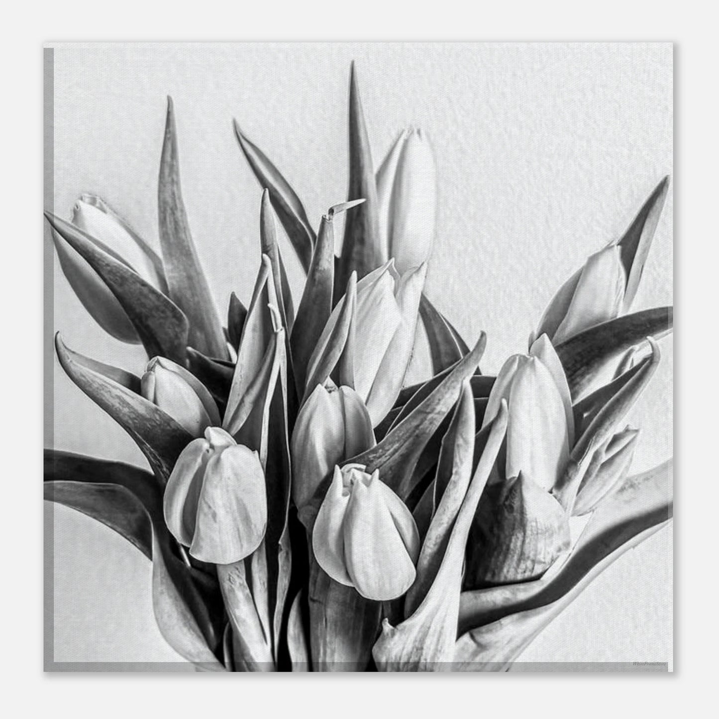 a0e8114d-0e27-4c4e-8412-c34639dd373b