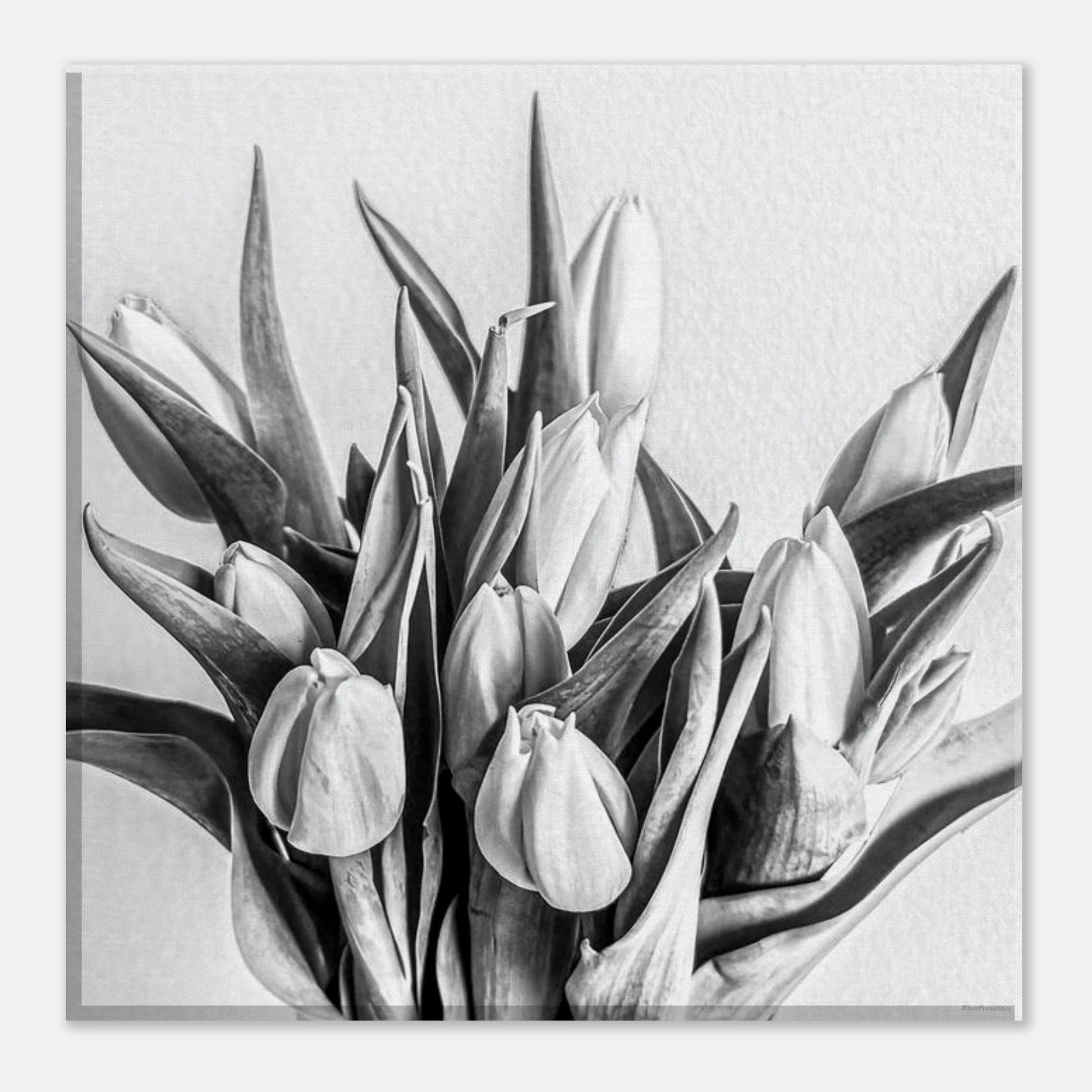 a0e8114d-0e27-4c4e-8412-c34639dd373b