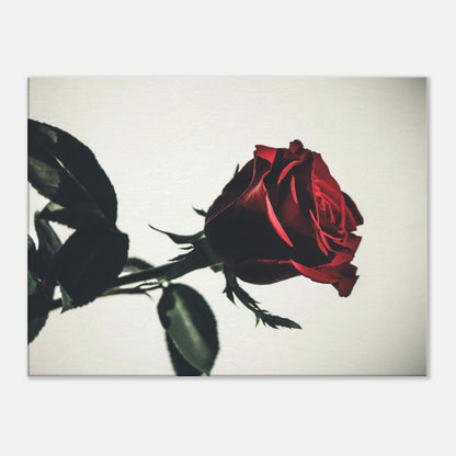 a0ef509b-5b13-47d7-819c-94c1e2ceee87