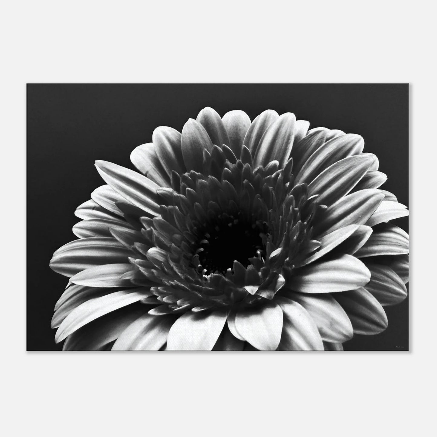 a10889bc-b7c1-4055-b790-a316422546c5