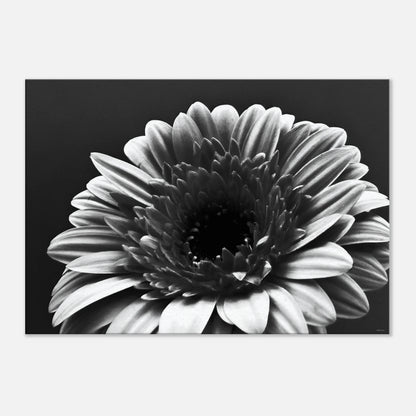 a10889bc-b7c1-4055-b790-a316422546c5