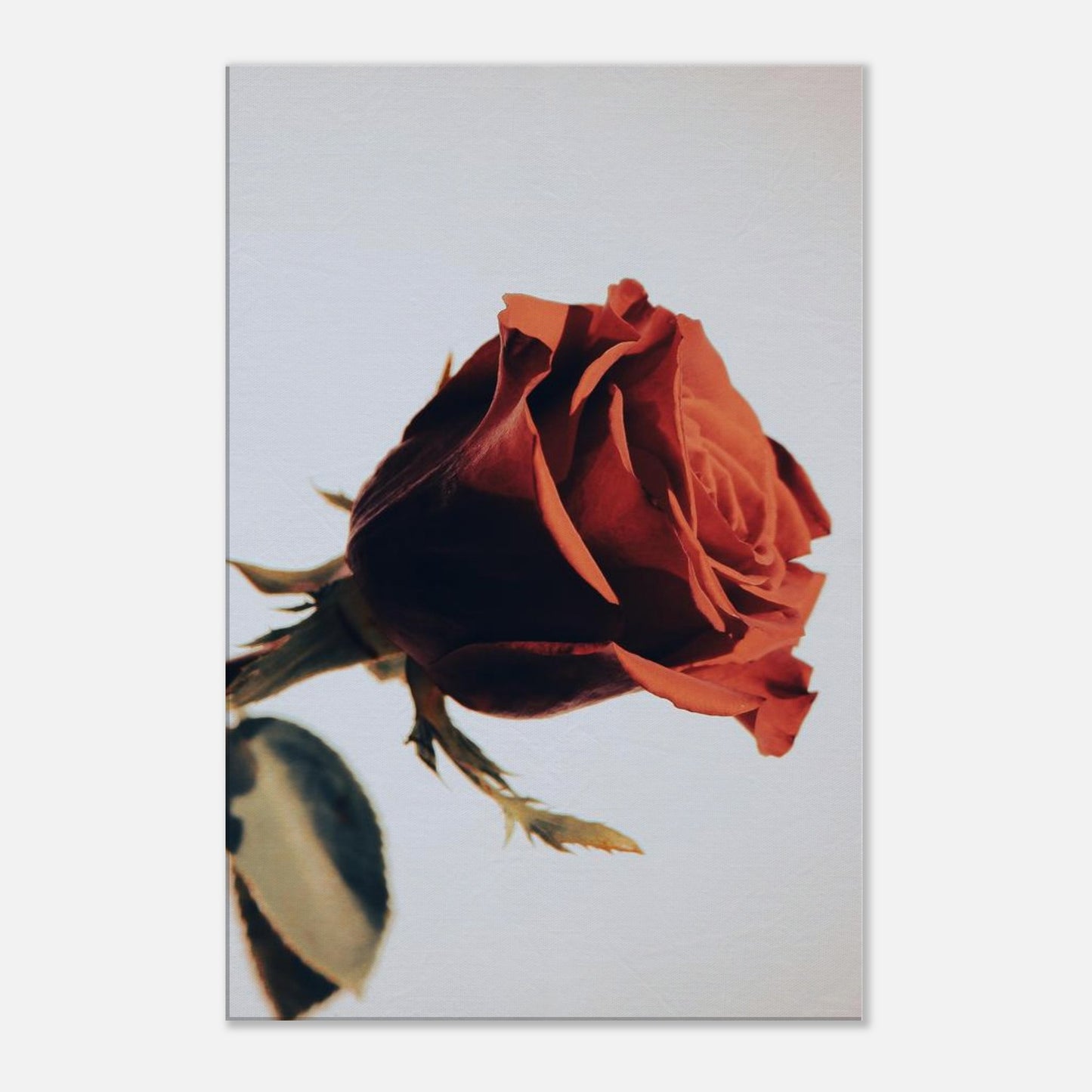 a112ac0d-320e-44a7-b0a1-0d25bea74b12