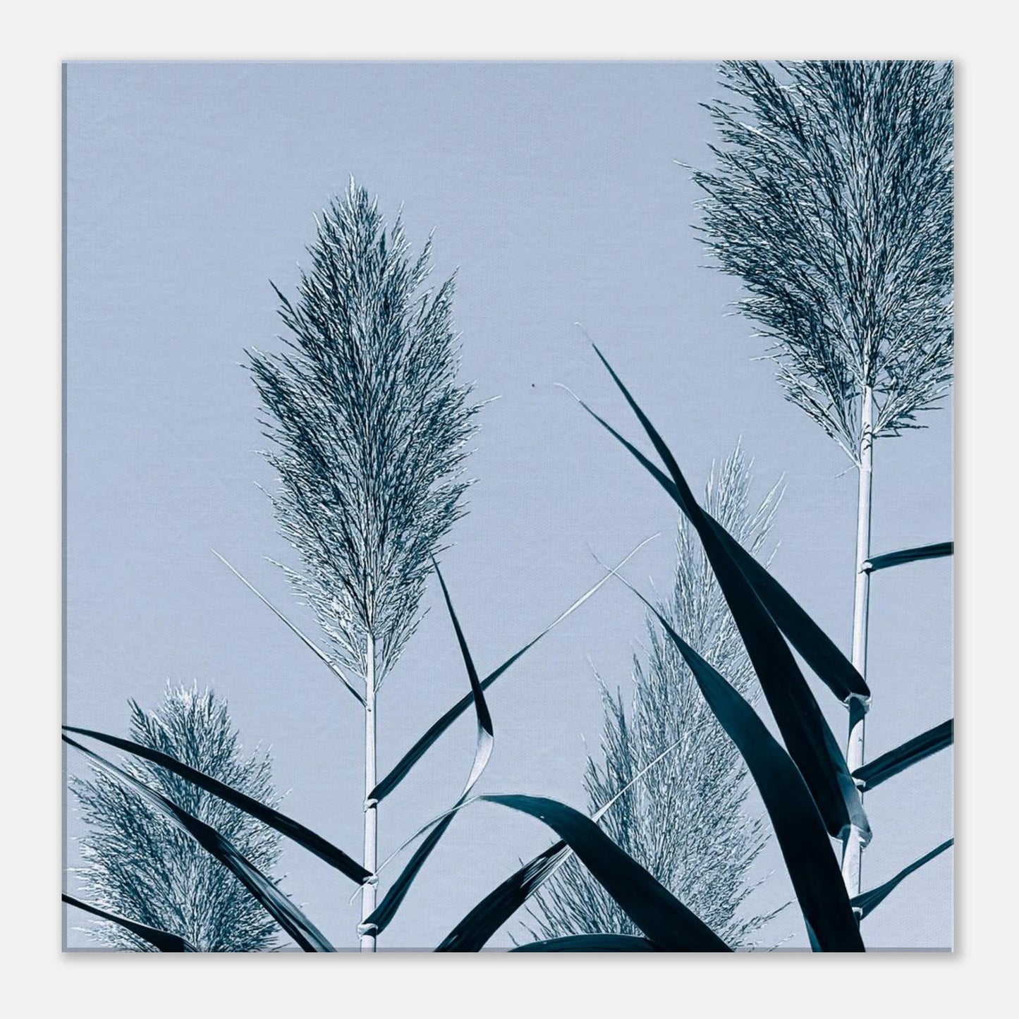 a12850b3-a799-4edf-8d60-e45e002fb295