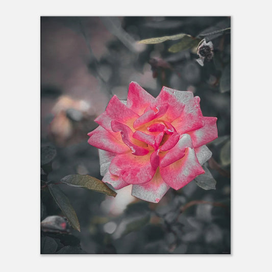 a12c7202-32a6-49d9-8fb5-1d6c8a859b25