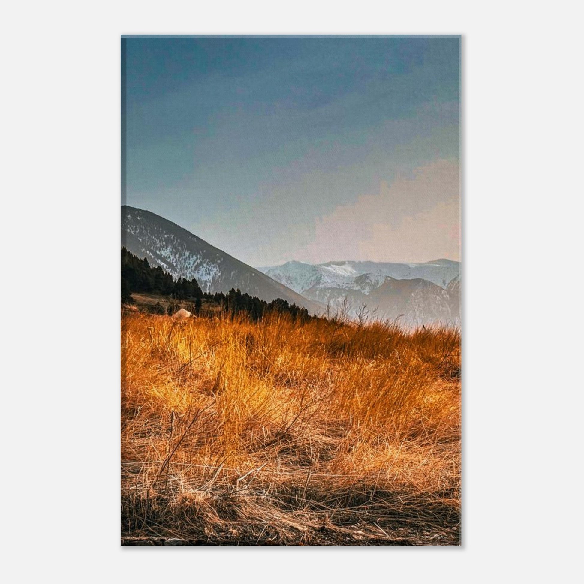 a12eef93-a4e8-42a3-8649-737494b7caf1