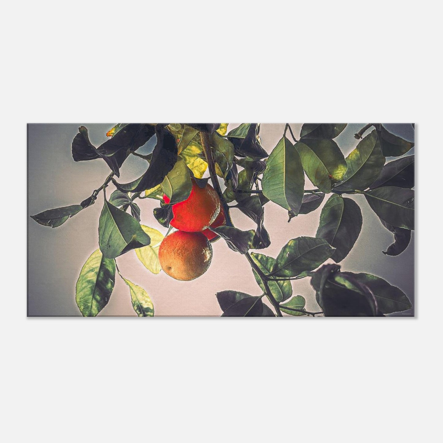 a1637629-0d75-476c-a5bc-0dc8a93fdca8