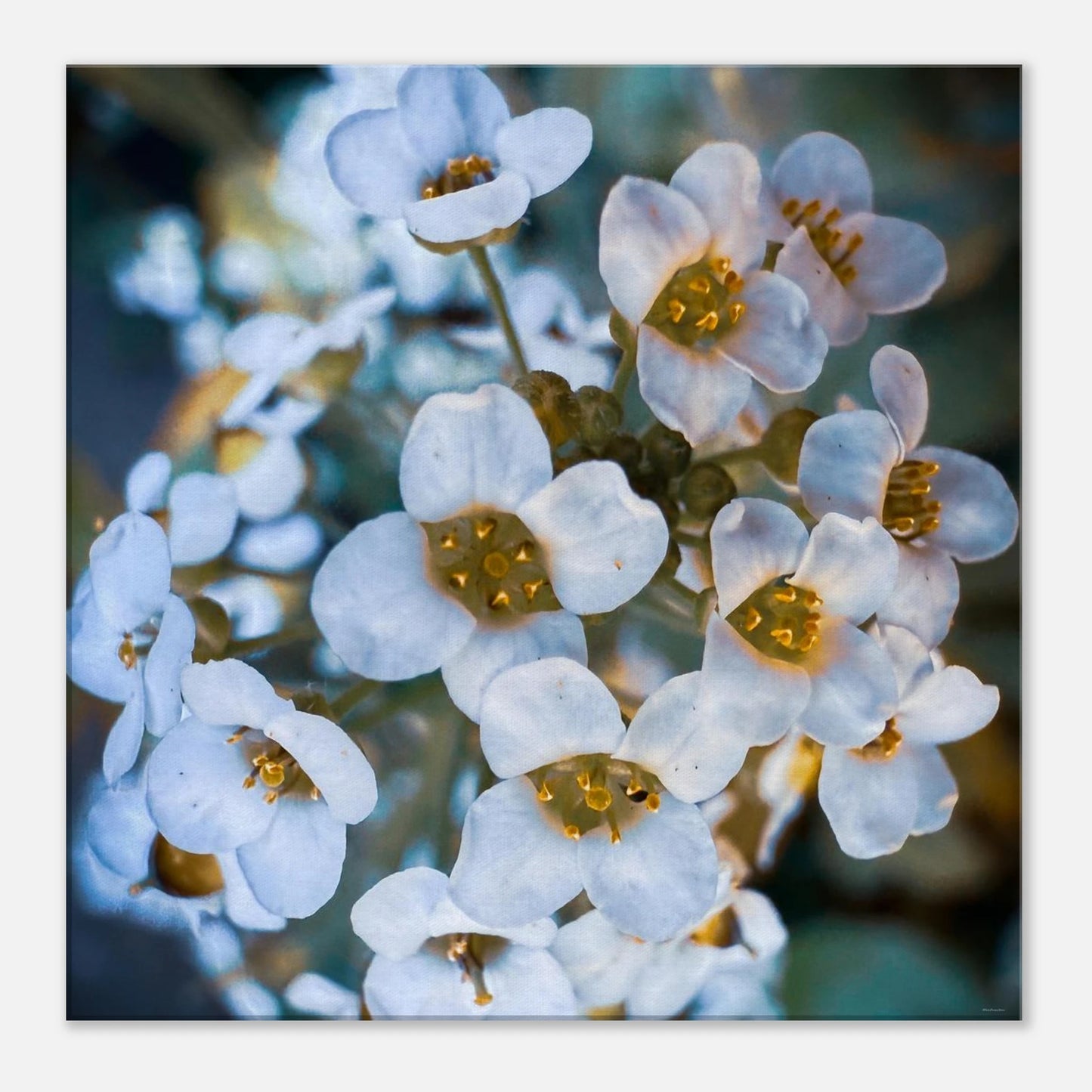 a17b37dd-12f1-441d-a302-4190e1cb1964