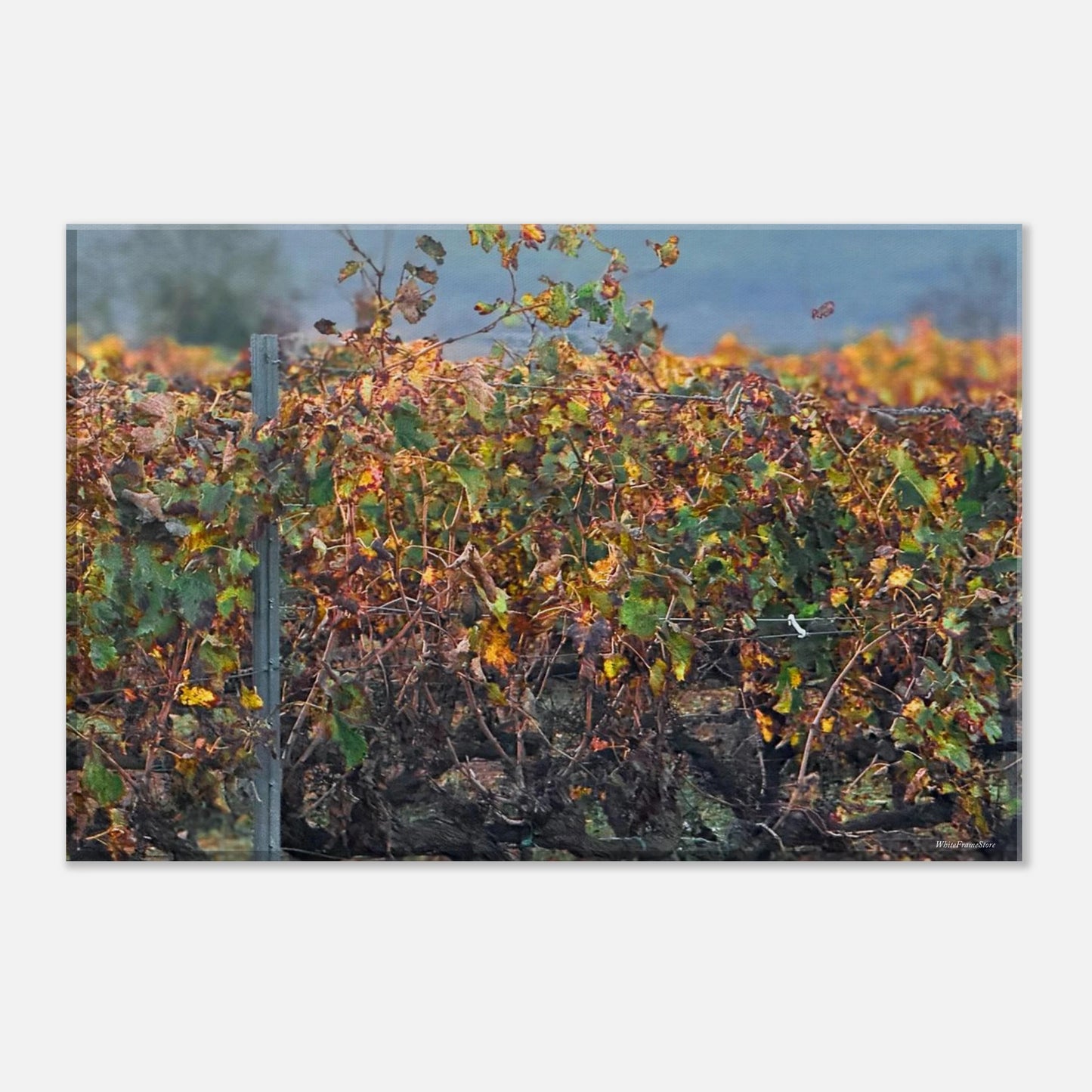 a1849fb4-4680-495b-82b9-c1a8fed87f38