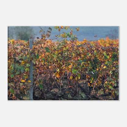 a1849fb4-4680-495b-82b9-c1a8fed87f38