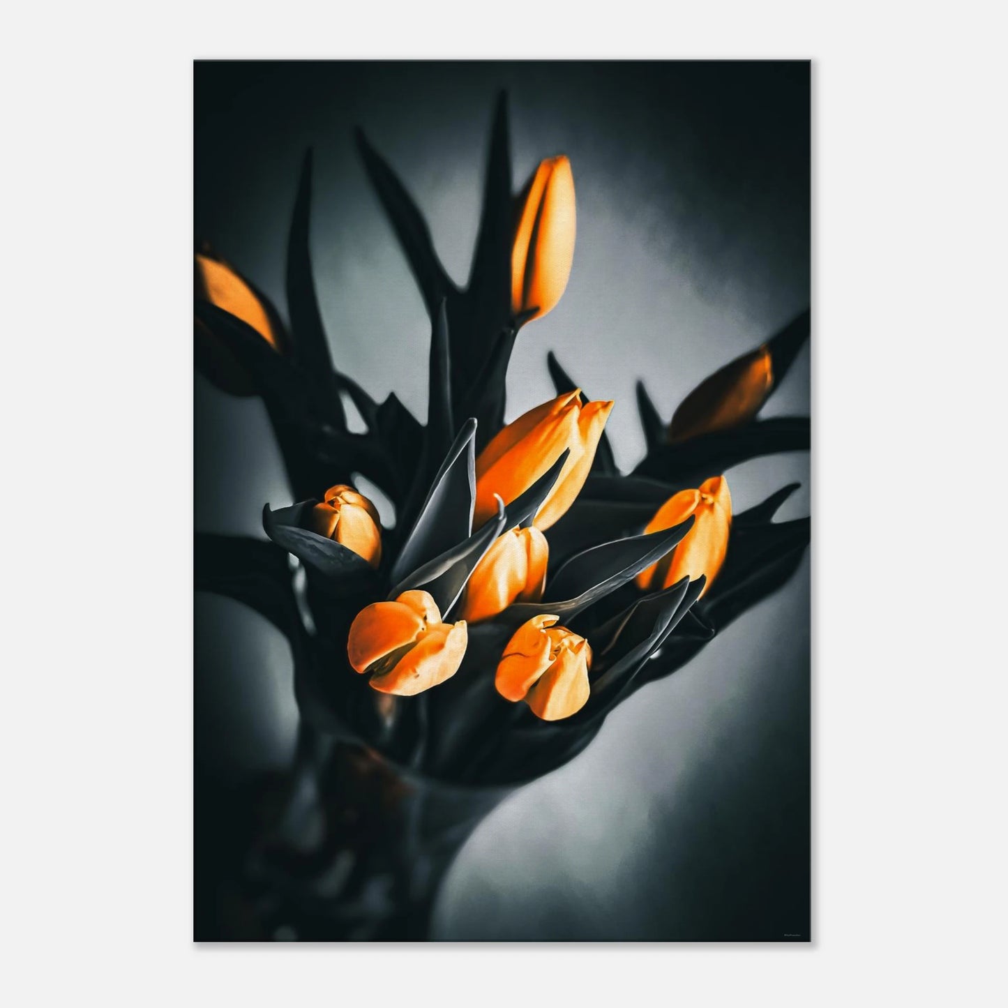 a1a4c16f-4b87-41da-aafa-17e2aa4876d4