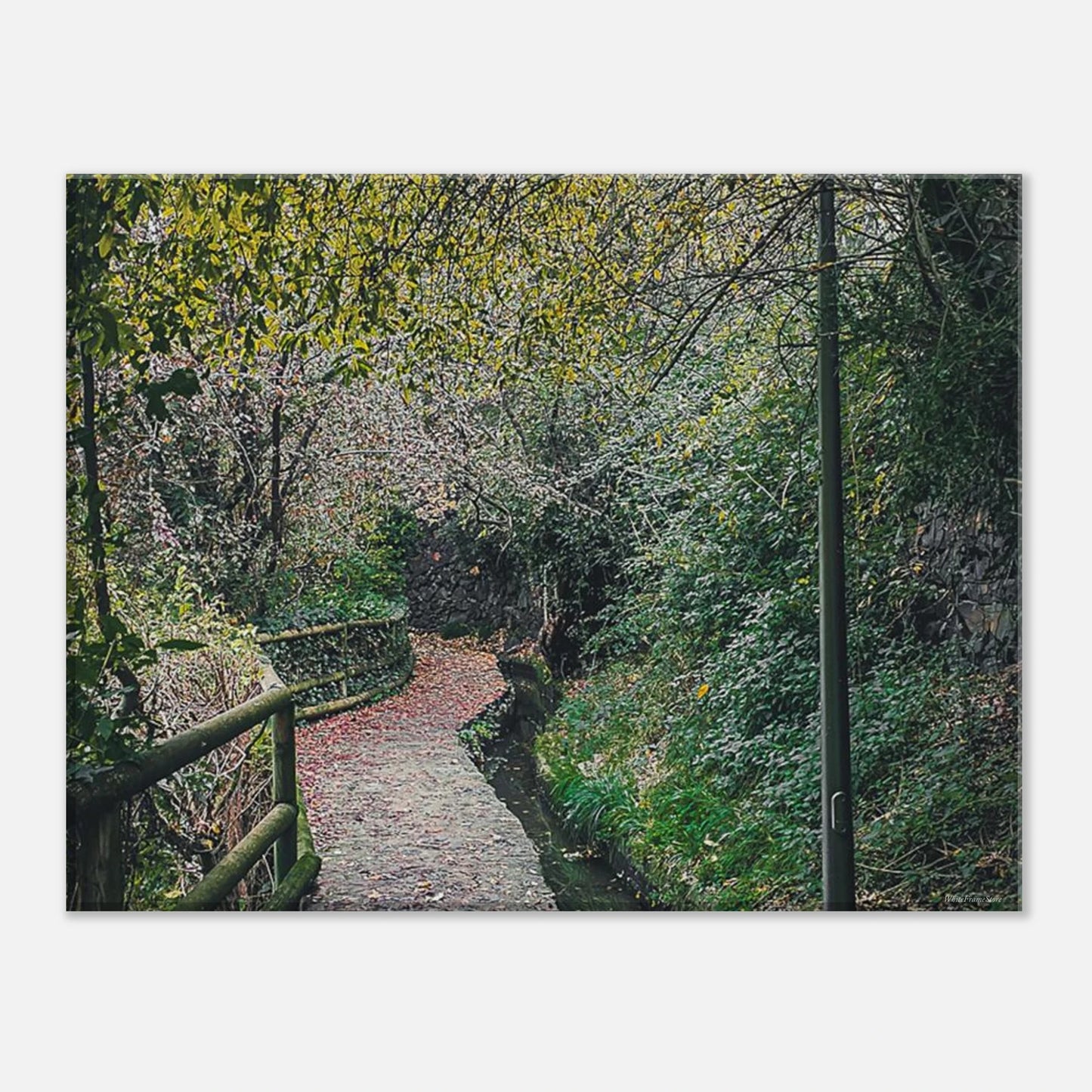 a1d9d154-8405-43f3-b3e5-4fd58ff406b0