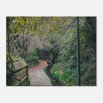 a1d9d154-8405-43f3-b3e5-4fd58ff406b0