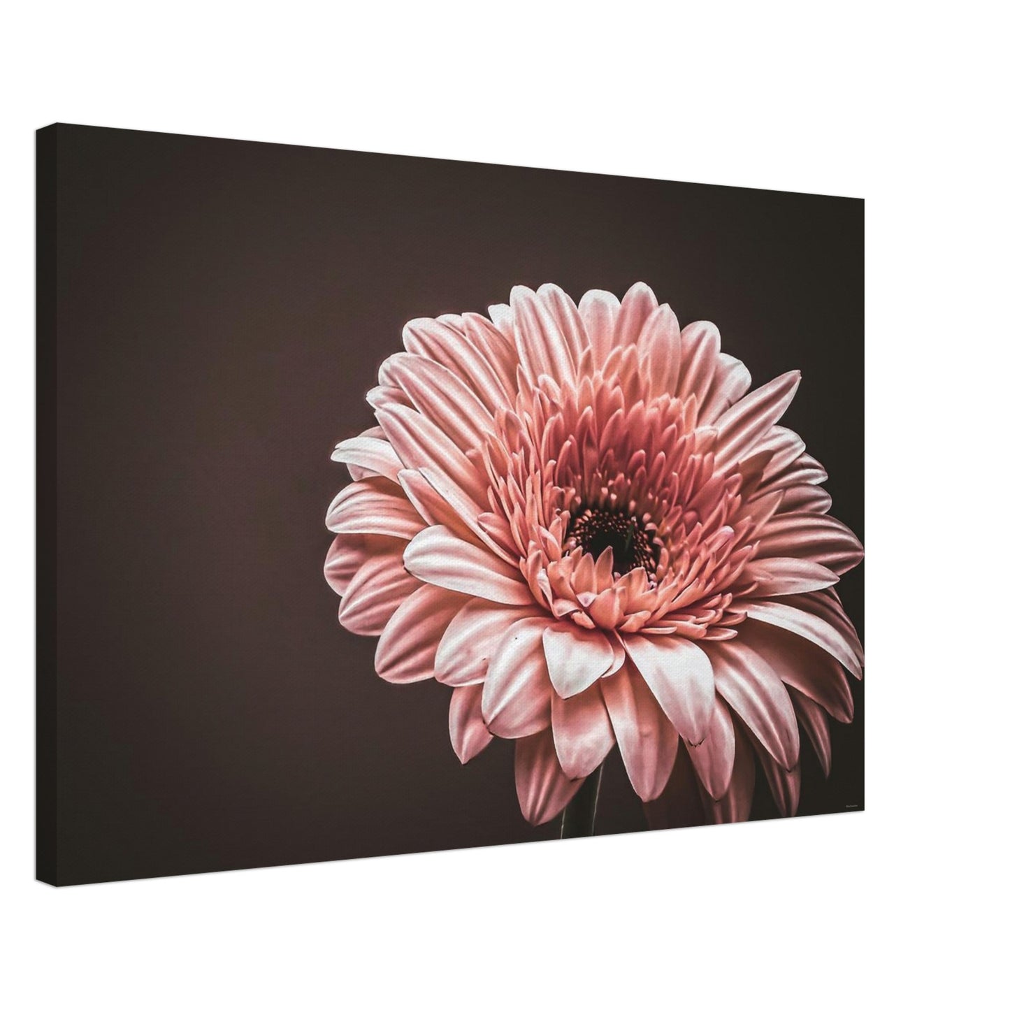 a1f6ff6e-23b6-4df9-92a9-d1a44736f4cf