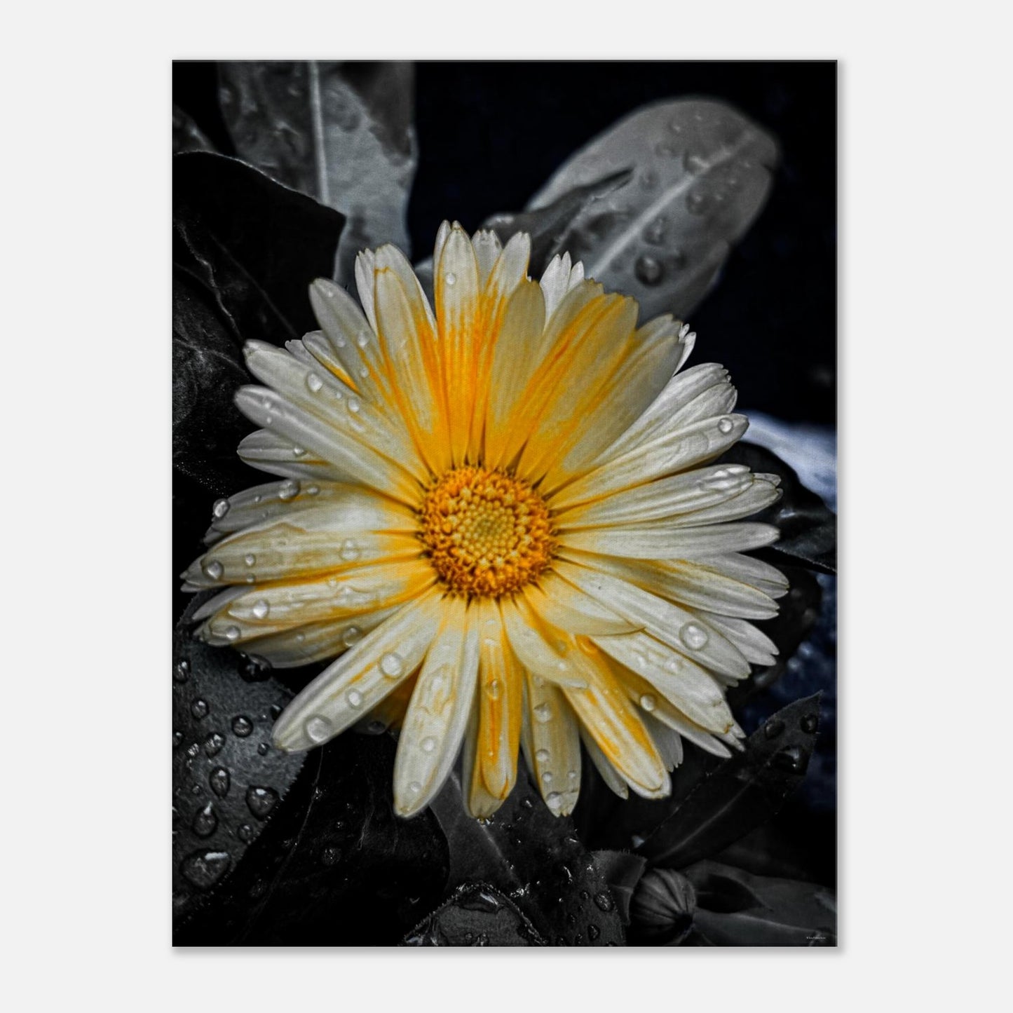 a23f142d-8b92-44cf-8bcf-e31e3bea23ec