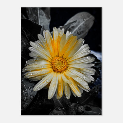 a23f142d-8b92-44cf-8bcf-e31e3bea23ec