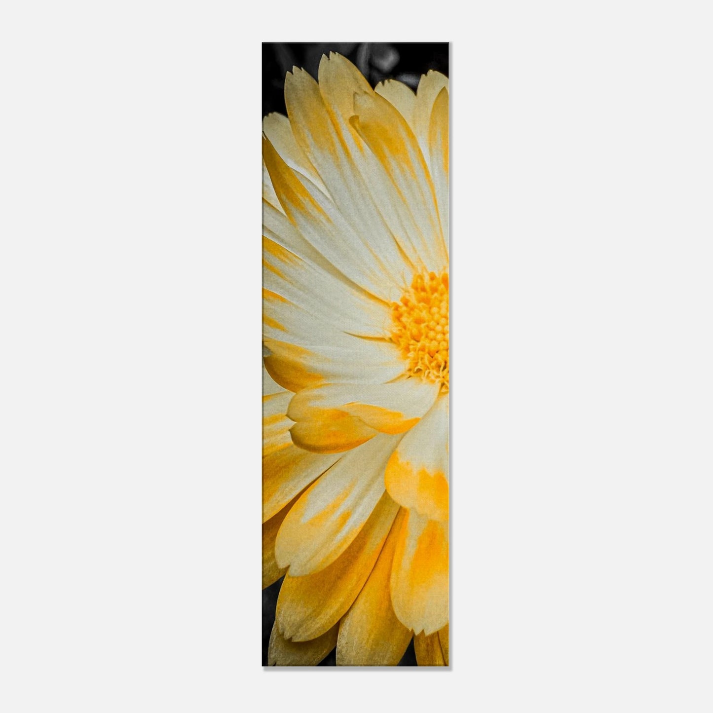 a25f810e-8644-4a1c-bff5-2808955d8c1a