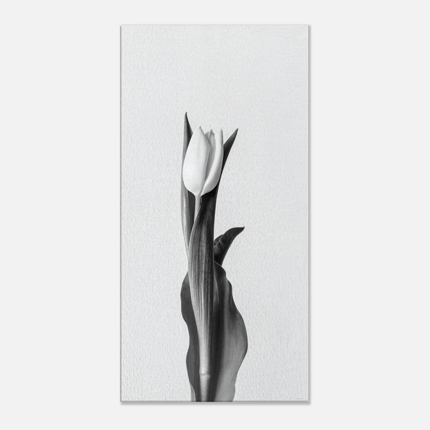 a26c80fe-ed77-41ef-a8d8-118457ab538b