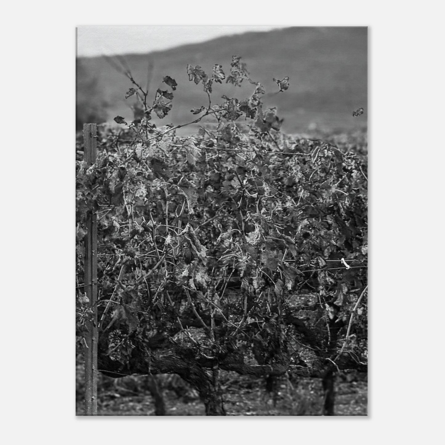 a299990a-f49a-43c4-8fbb-f94cc8856c92