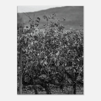 a299990a-f49a-43c4-8fbb-f94cc8856c92