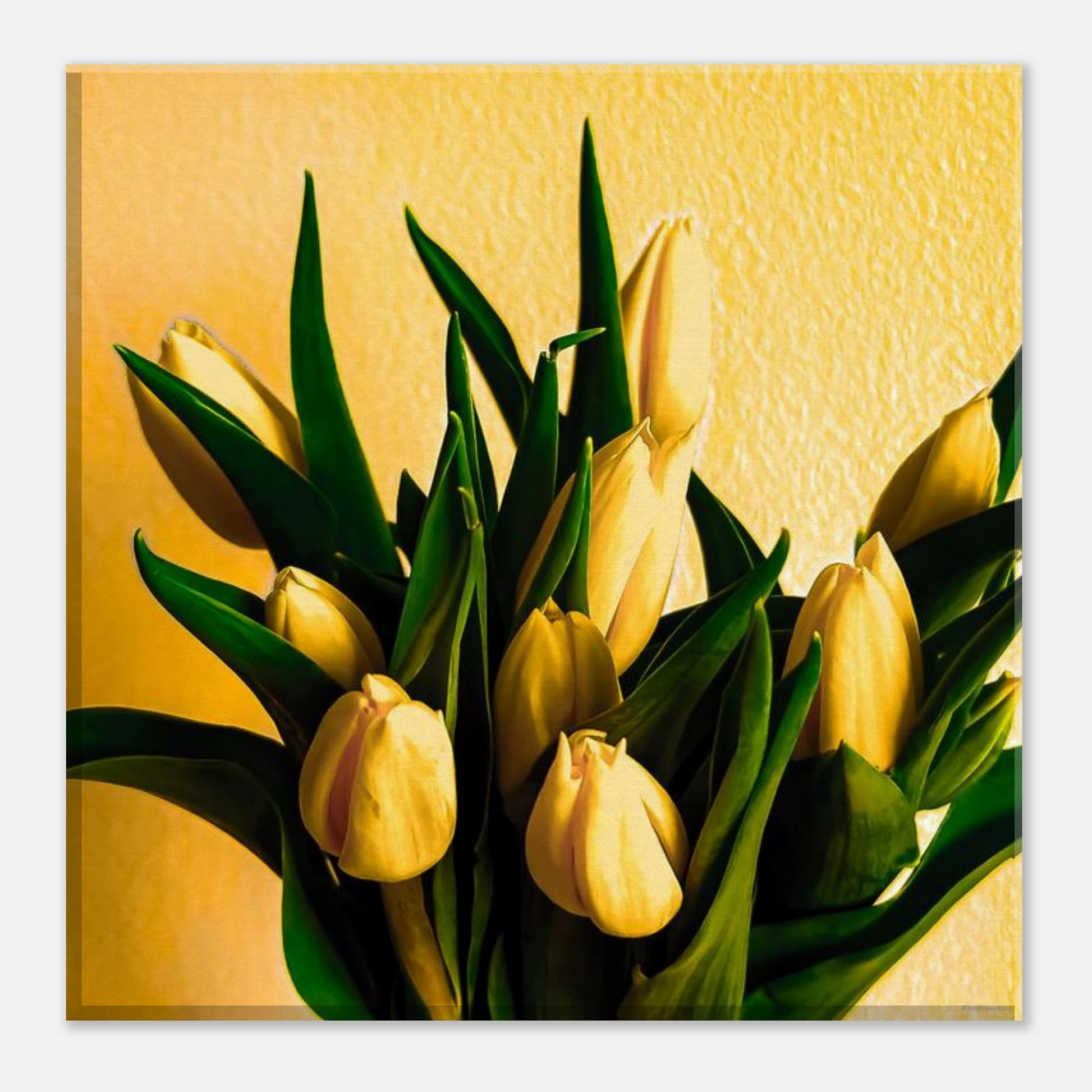 a299c0a7-0d58-4584-80b3-04138e9b7dd2