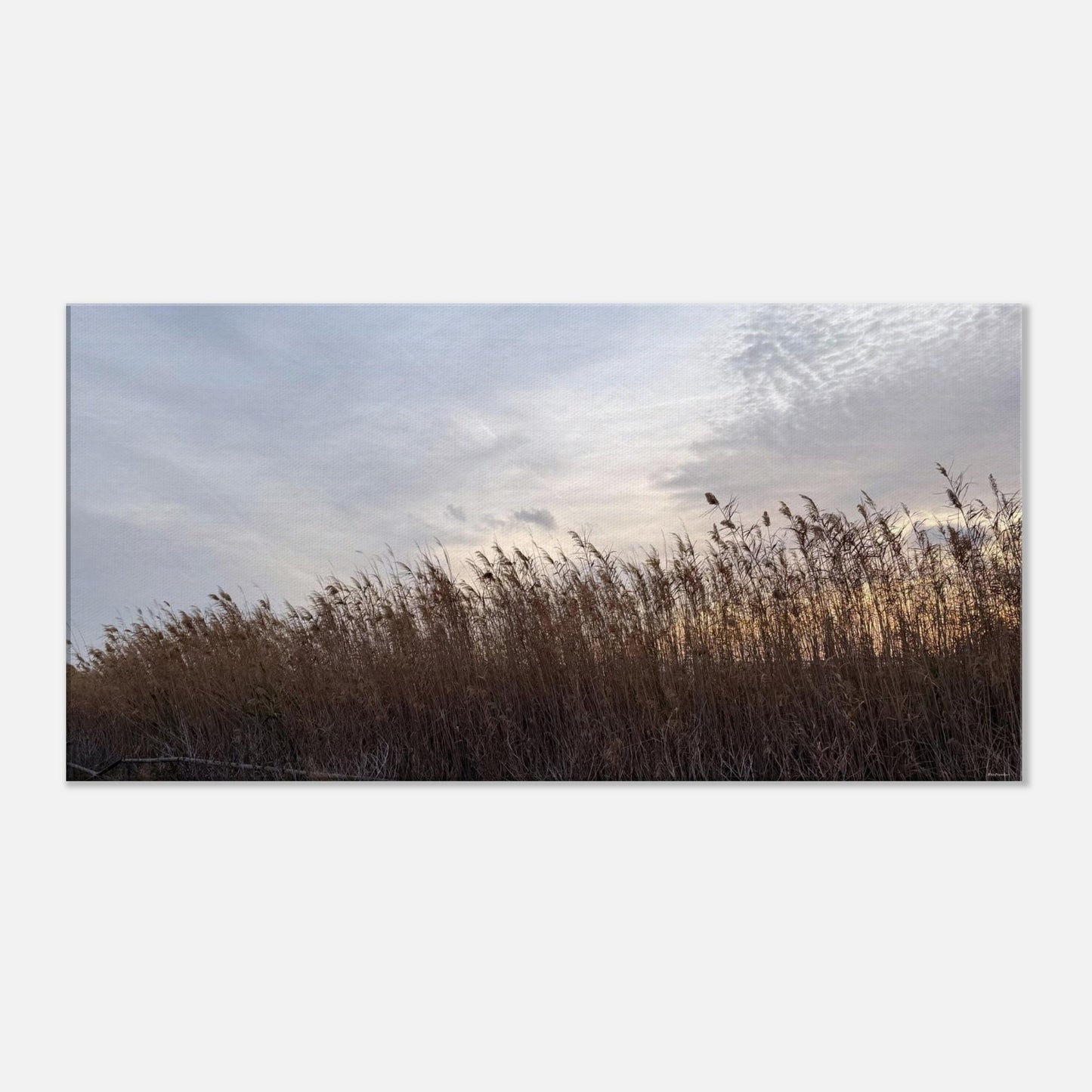 a2c8fd3f-ef0e-421d-88a5-d08d27dd8514